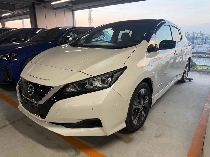 2018 Nissan Leaf