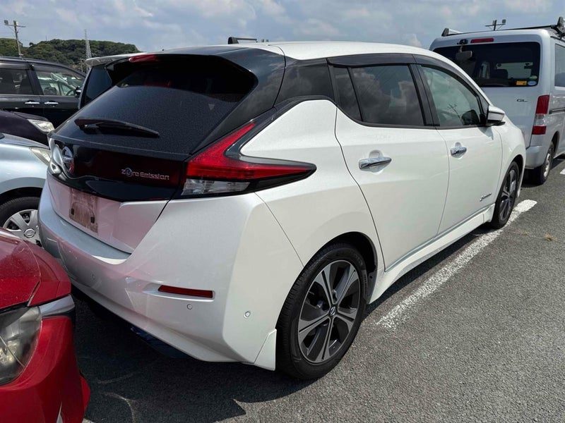 2018 Nissan Leaf 40X, photo 3