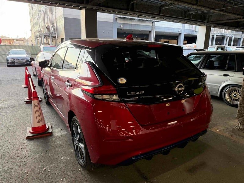 2022 Nissan Leaf 40X, photo 3