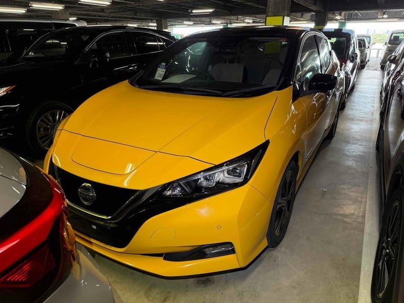2019 Nissan Leaf 40 G, main photo