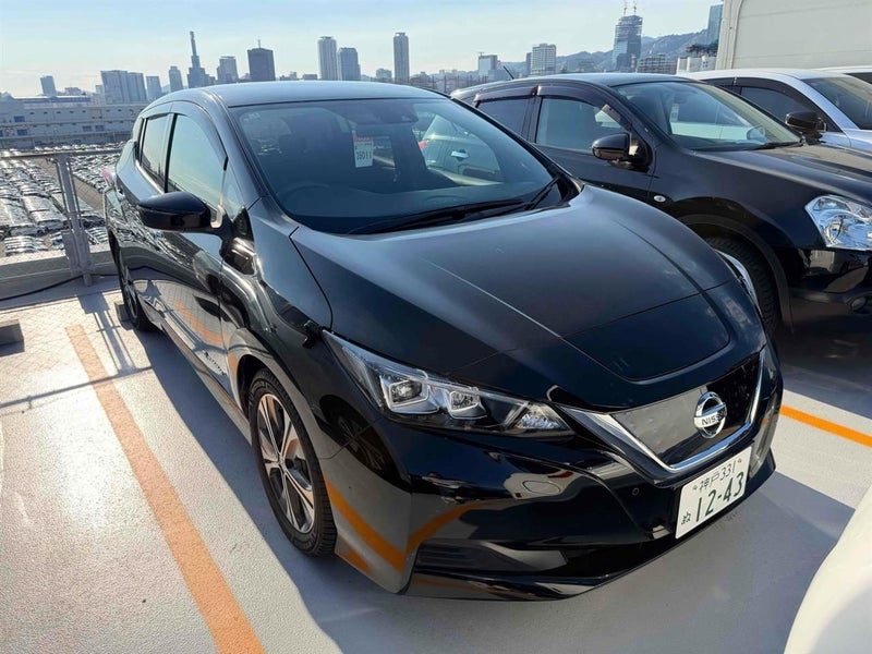 2019 Nissan Leaf 40X
