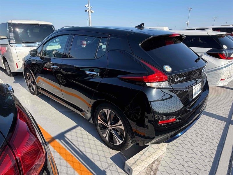 2019 Nissan Leaf 40X, photo 3