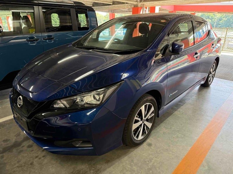 2021 Nissan Leaf 40X, main photo