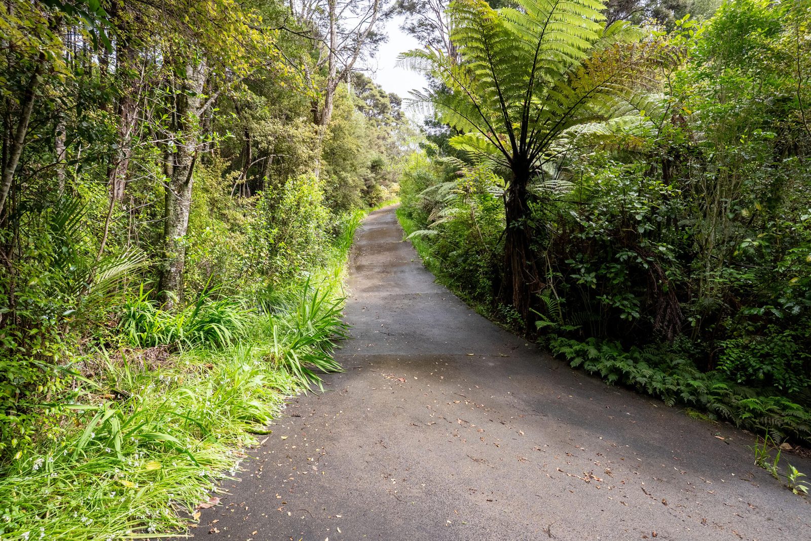 19 Hobson Road, Lucas Heights