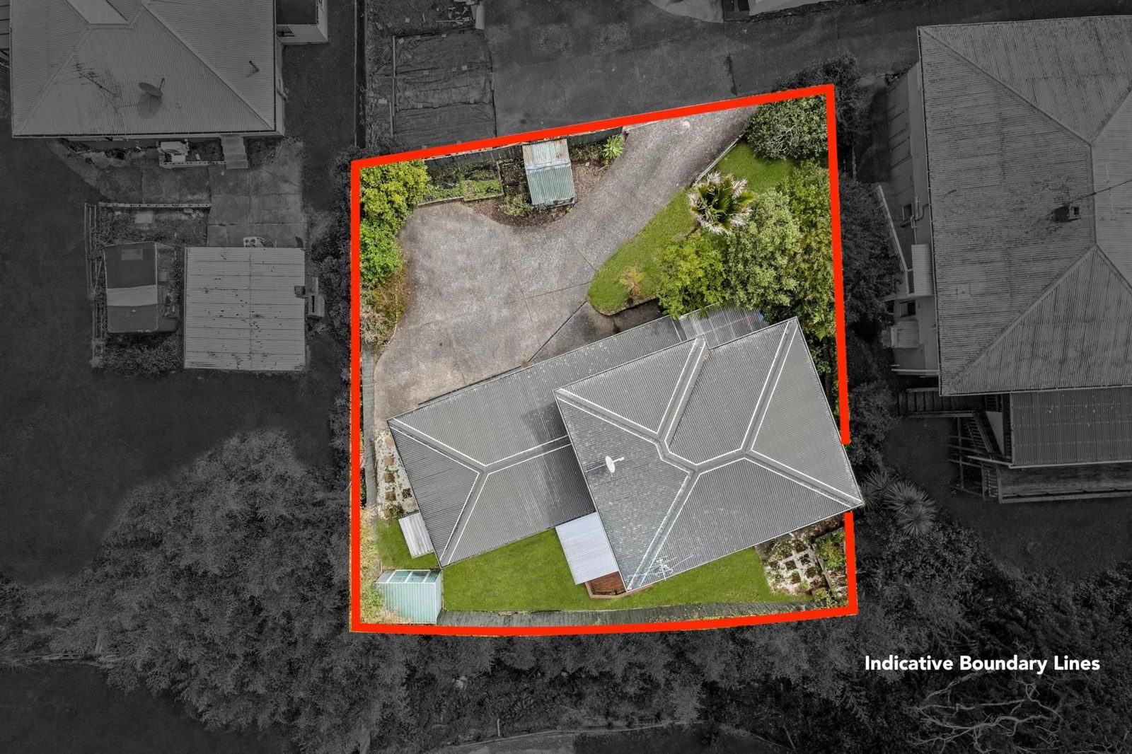 61B Tiverton Road, Avondale