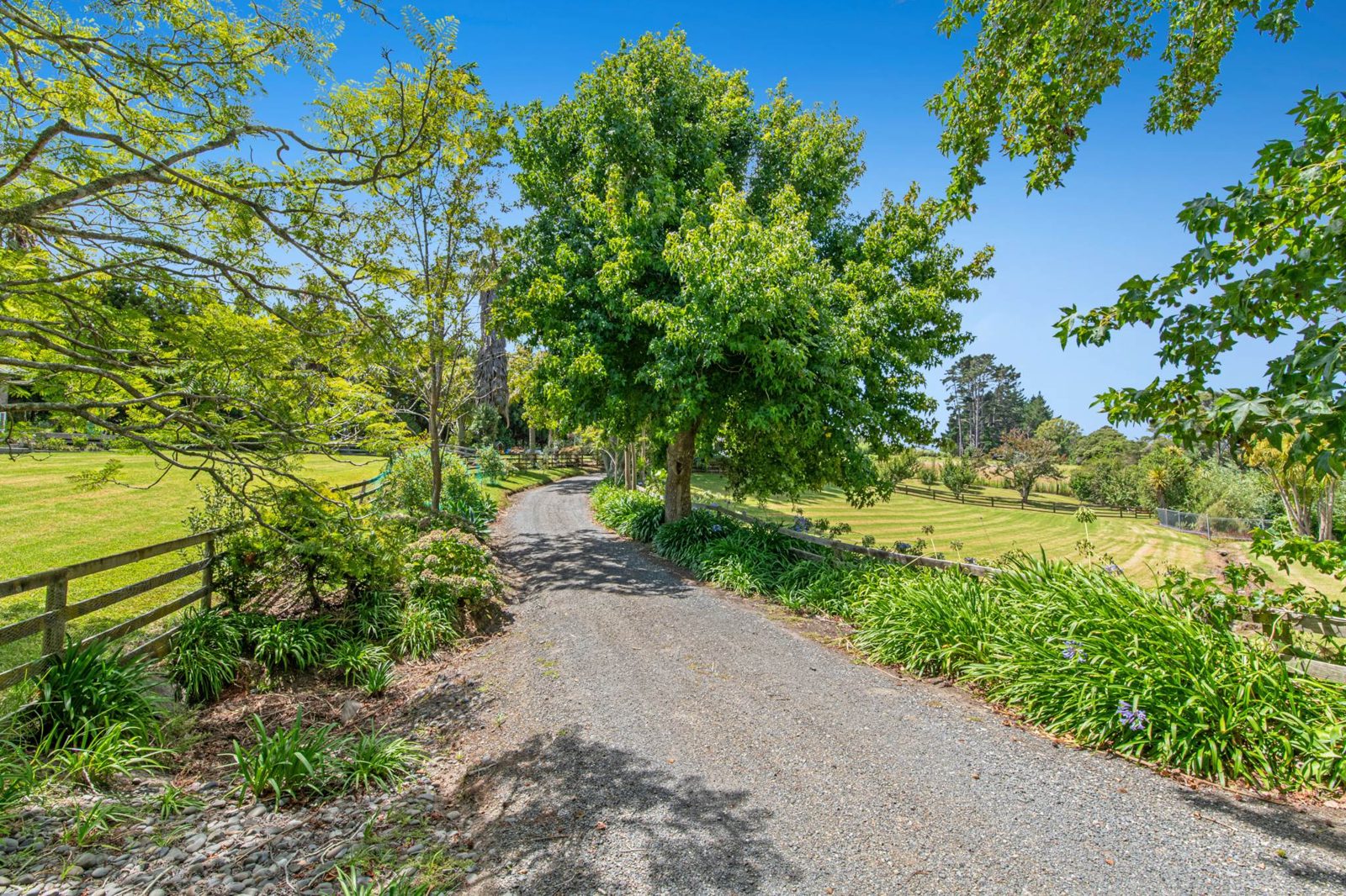 786 South Head Road, South Head