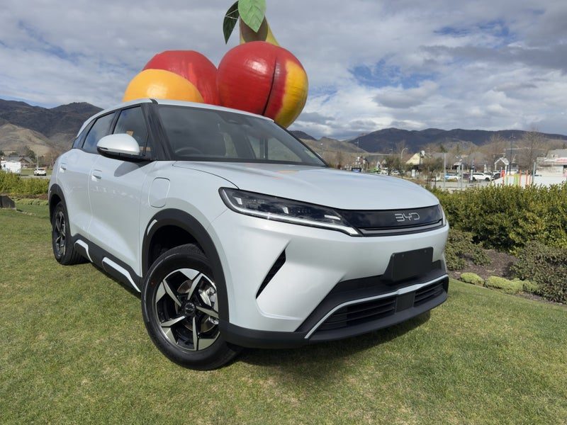 2026 BYD ATTO 2 Dynamic EV