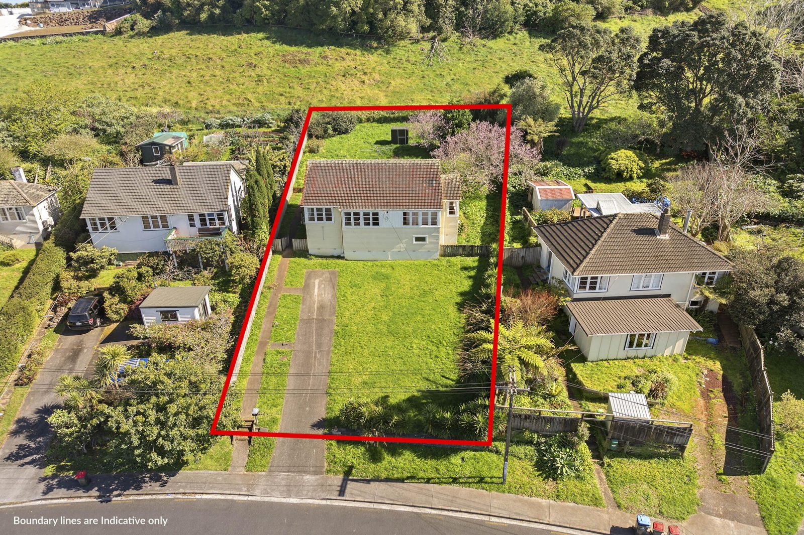 41 Mount Royal Avenue, Mount Albert