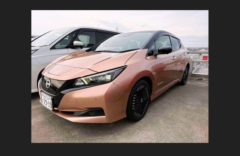 2022 Nissan Leaf XV