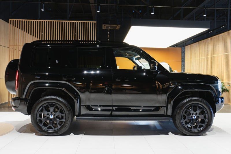 2026 DENZA B5 Leopard, photo 3