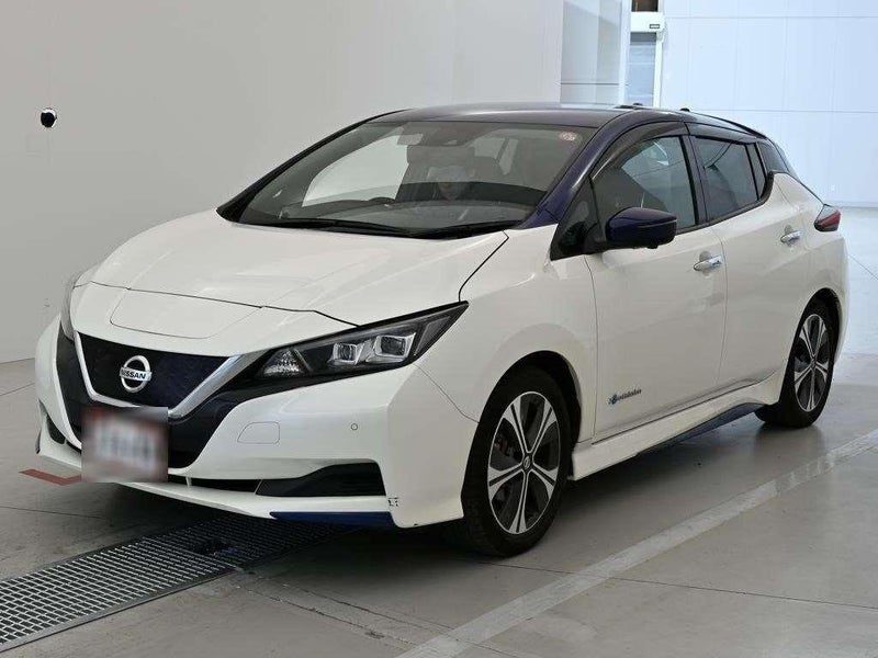 2021 Nissan Leaf X