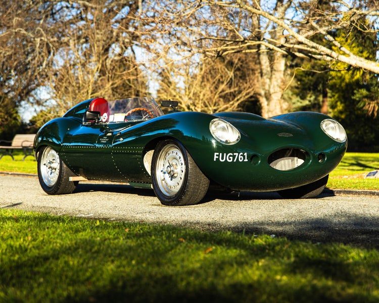 1955 Jaguar D-Type