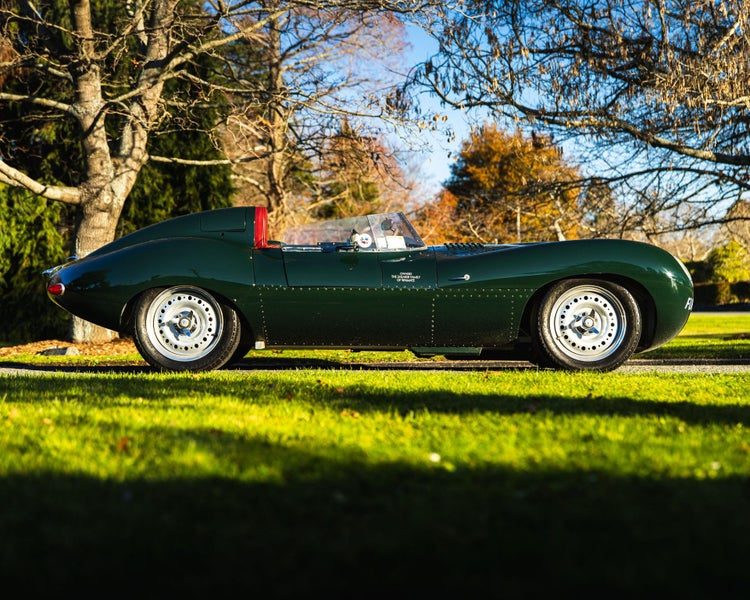 1955 Jaguar D-Type, photo 2