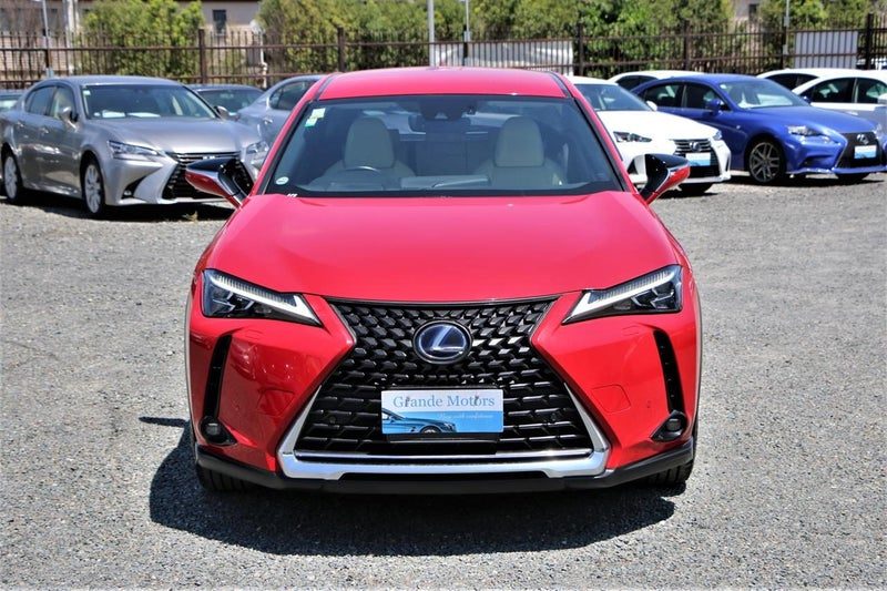 2020 Lexus UX 250H, photo 2