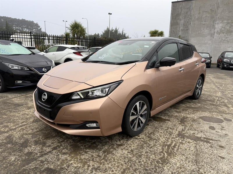 2021 Nissan Leaf X