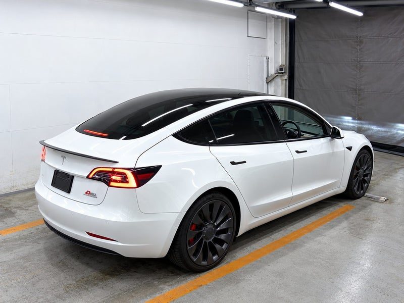 2021 Tesla Model 3 Performance, photo 2