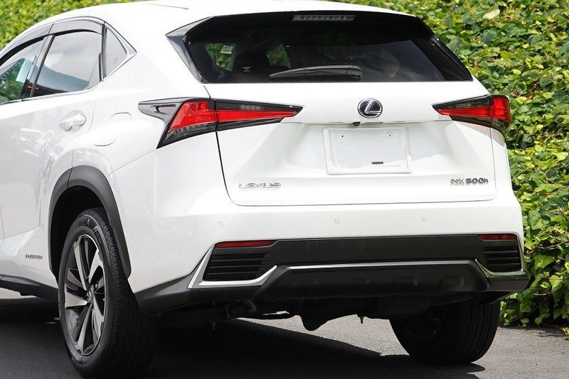 2018 Lexus NX 300h Hybrid, photo 3