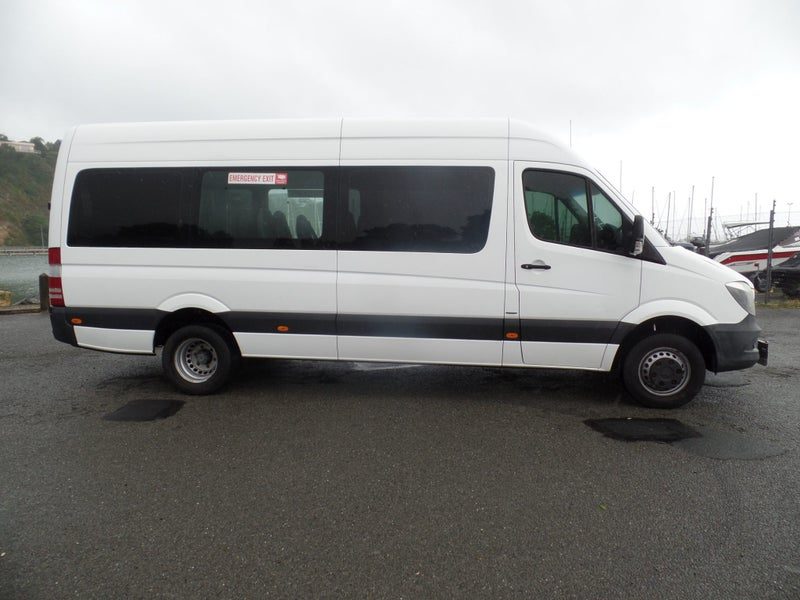 2014 Mercedes-Benz Sprinter 513 17 SEATER, photo 2