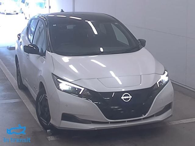 2023 Nissan Leaf E+ 62X 89% SOH, photo 2
