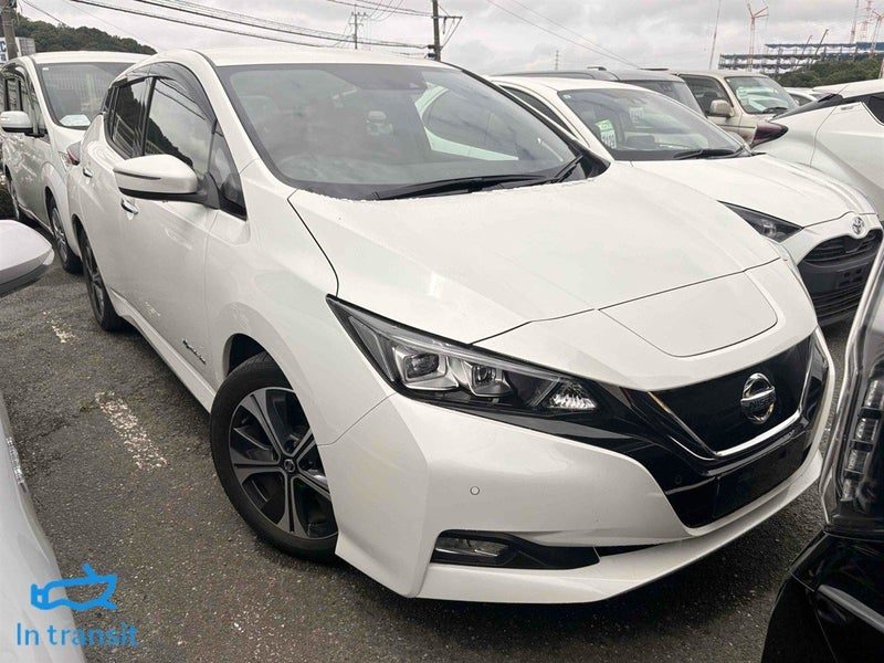 2019 Nissan Leaf 40X 89% SOH