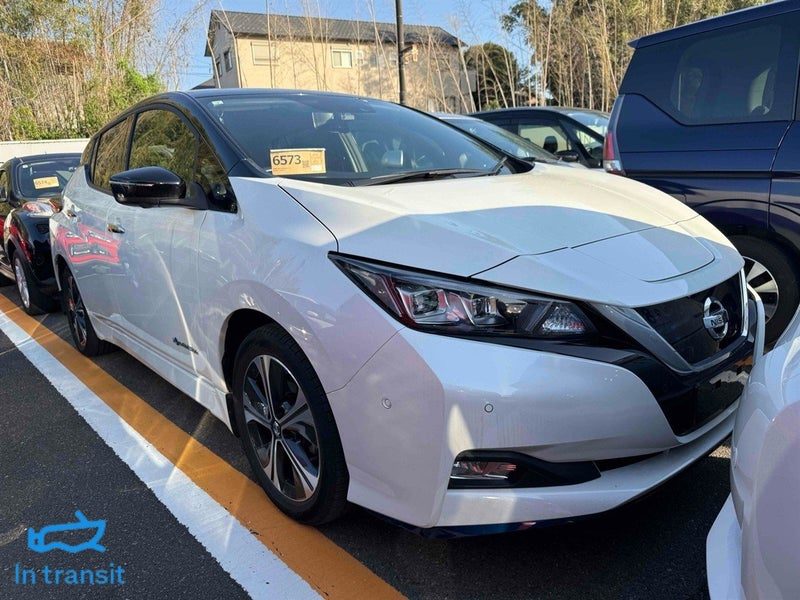 2019 Nissan Leaf E+ 62G 89% SOH Leather