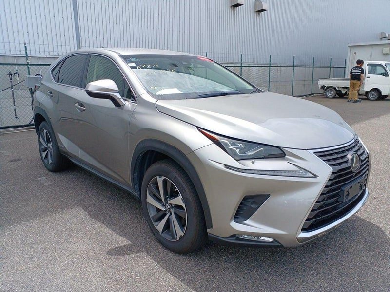 2018 Lexus NX 300h I PACKAGE HYBRID, main photo