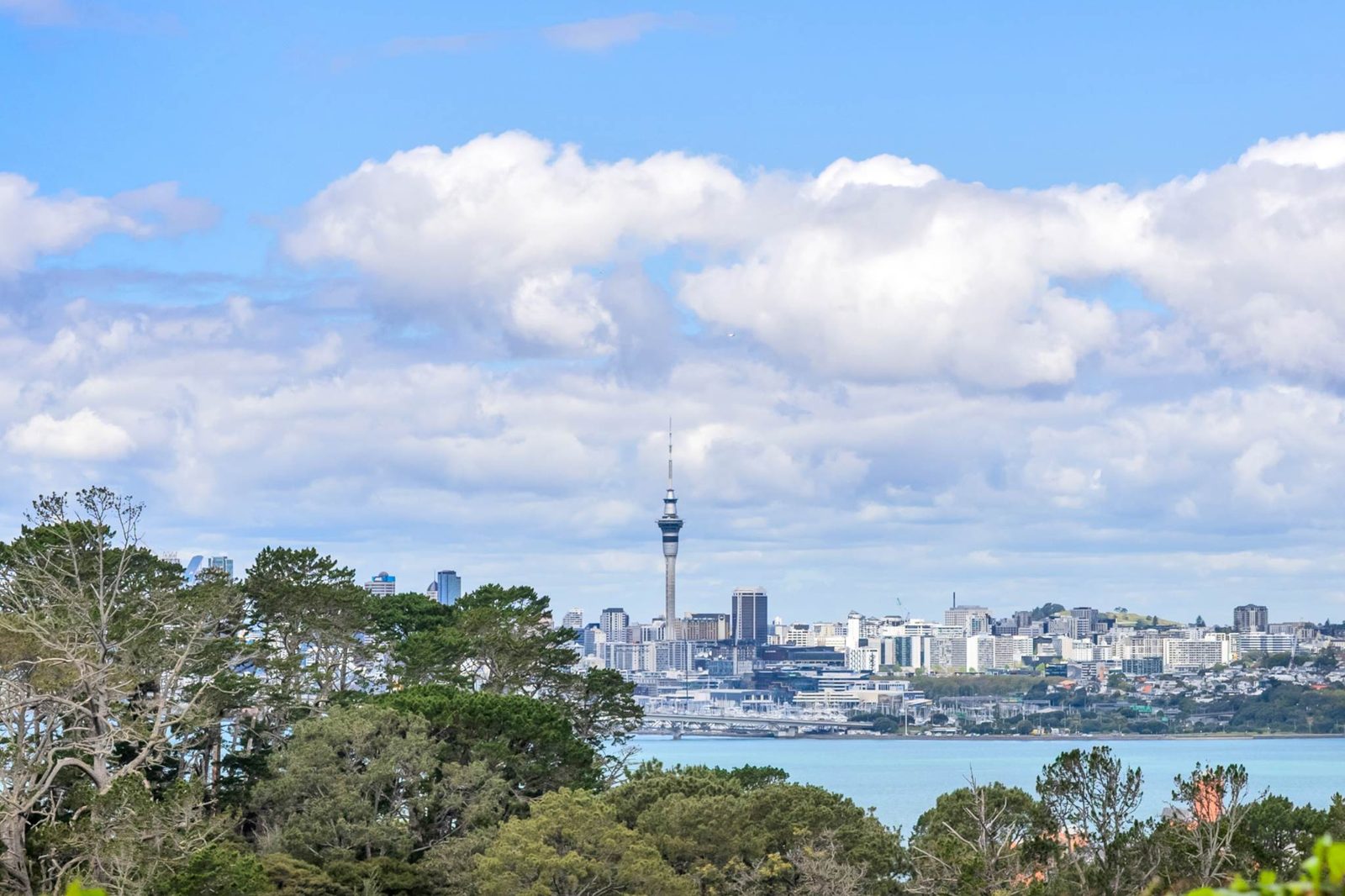 3 Chatswood Grove, Chatswood, photo 2