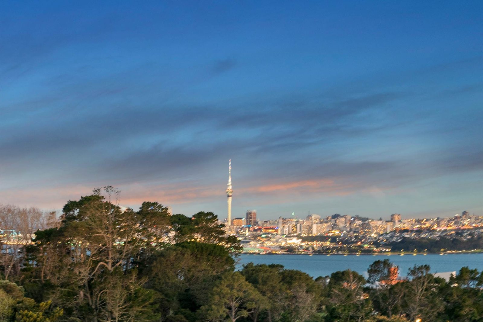 3 Chatswood Grove, Chatswood, photo 10
