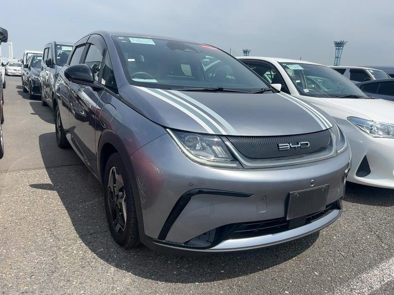 2025 BYD Dolphin Limited Edition EV