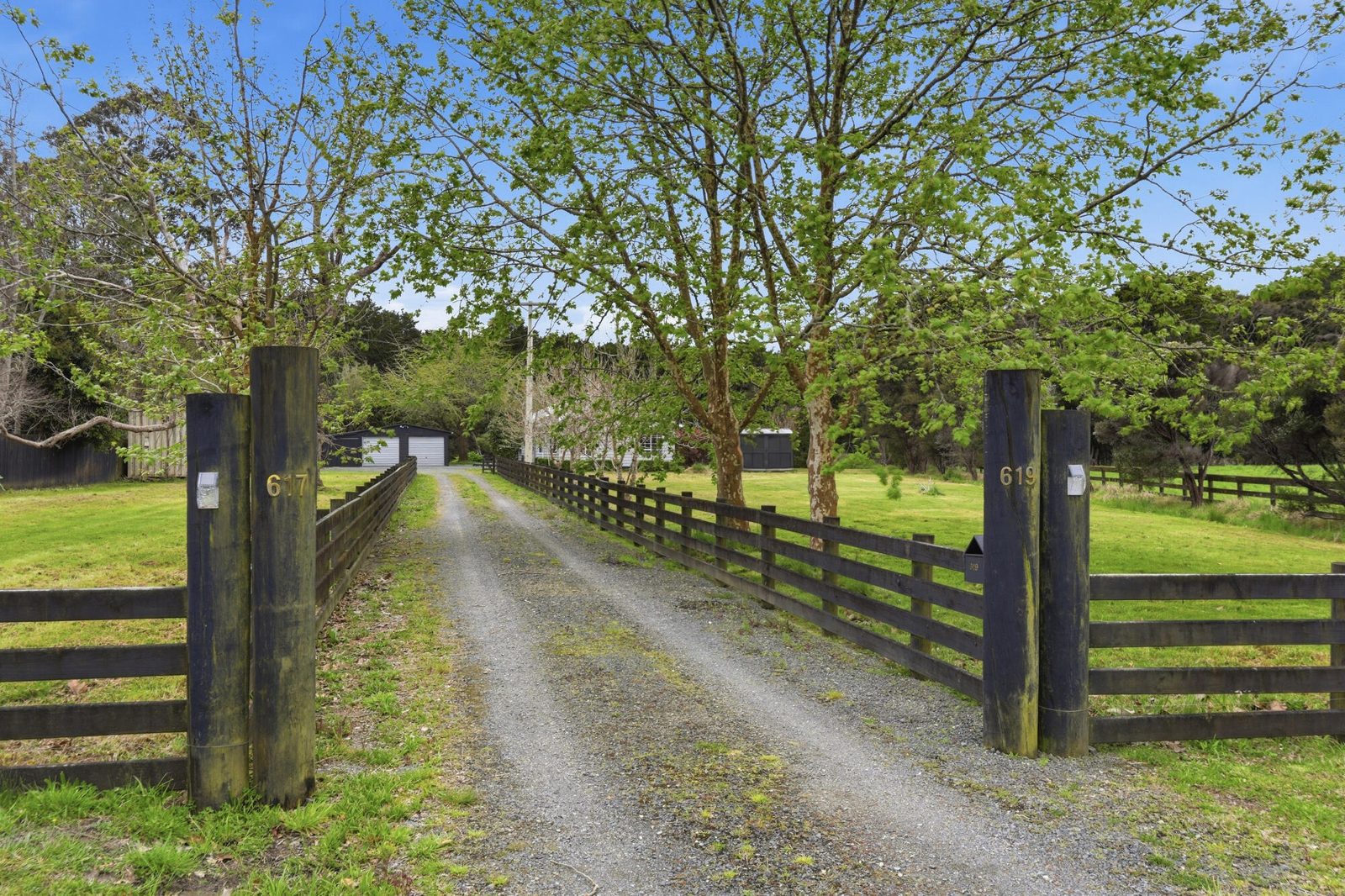 619 Matakana Road, Matakana, photo 7