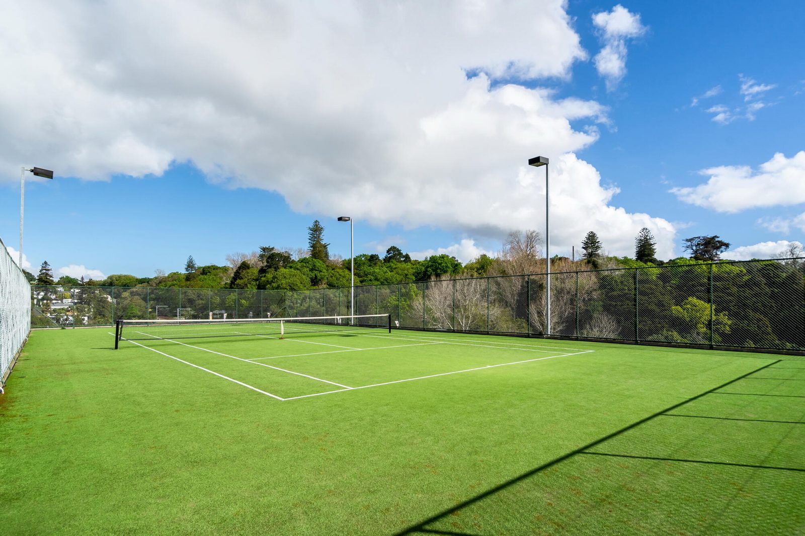 2I/3 Cheshire Street, Parnell, photo 11