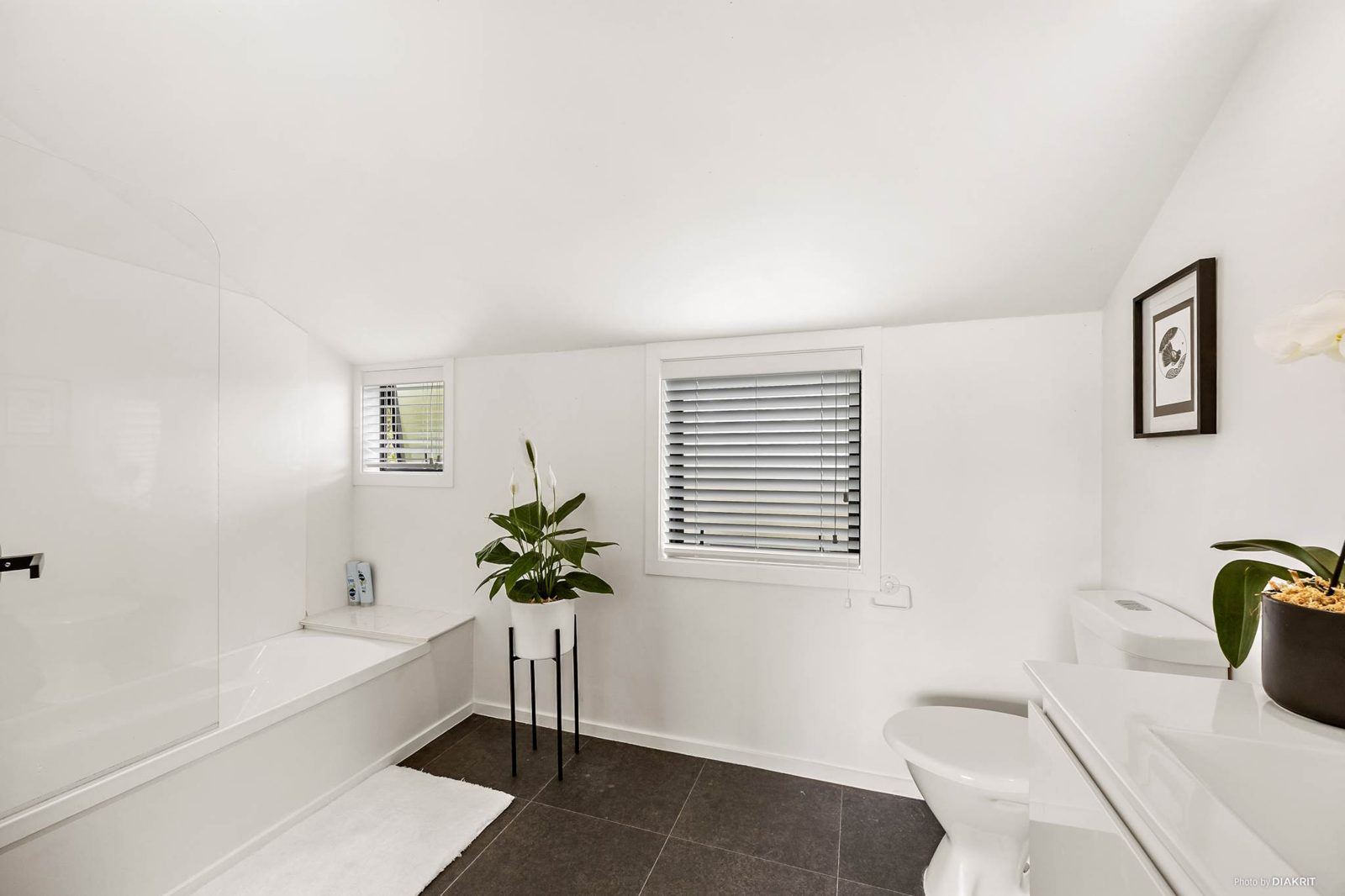 46 Miller Street, Point Chevalier, photo 10