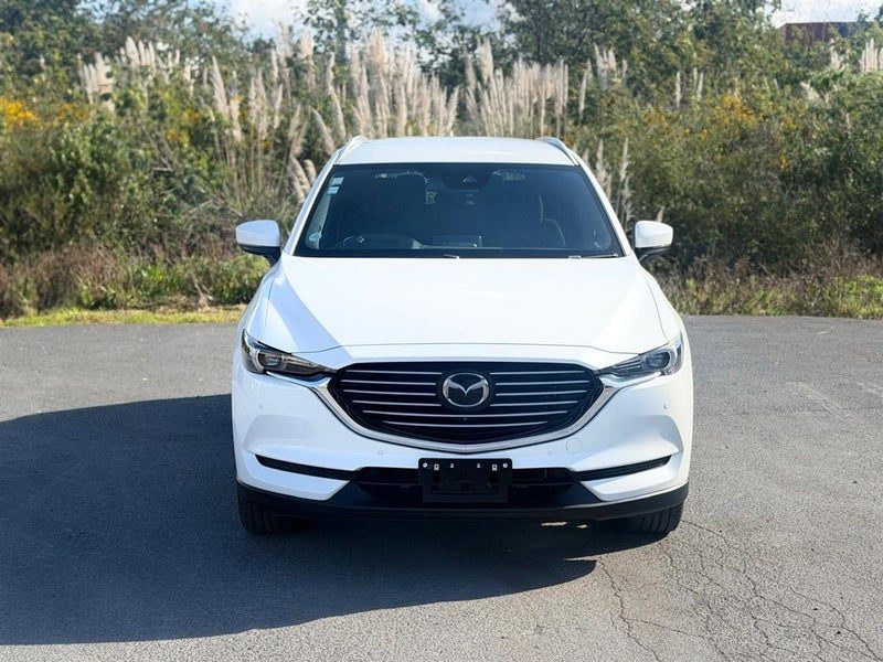 2019 Mazda CX-8 25S, photo 3