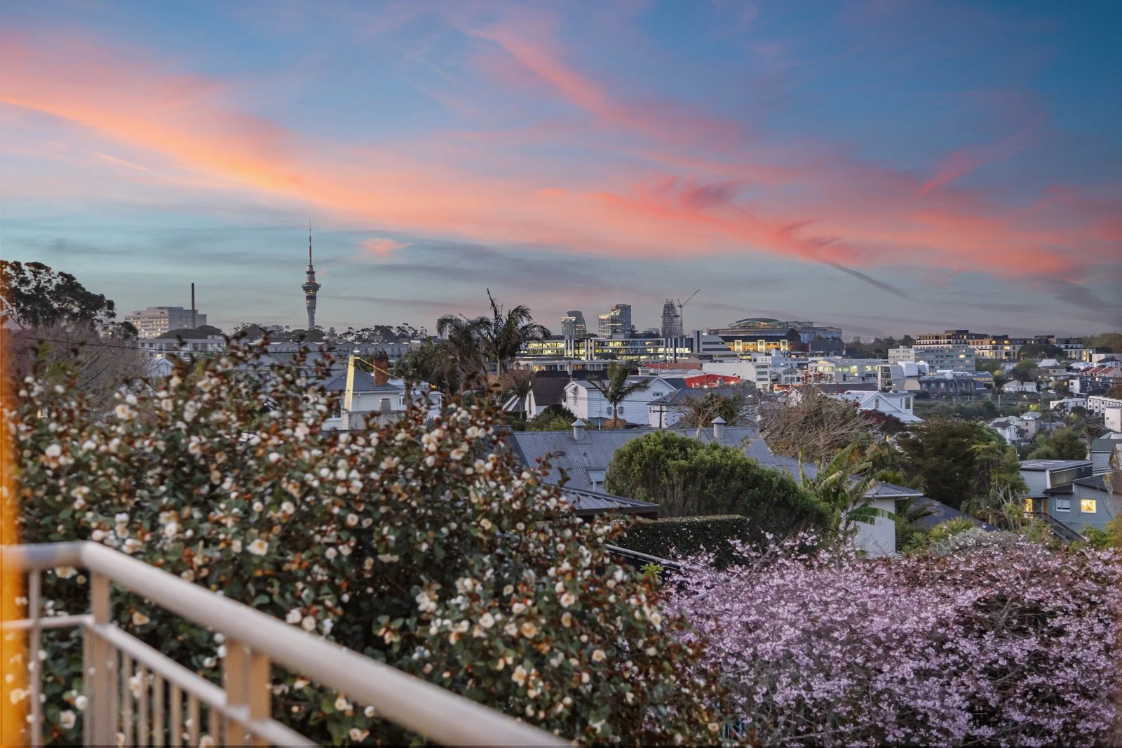 8A Ely Avenue, Remuera, photo 10
