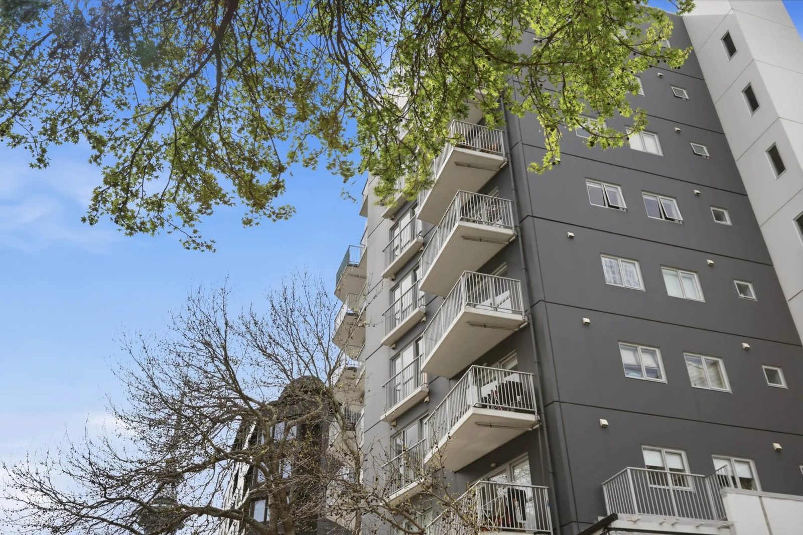 2C/208 Hobson Street, Auckland Central, photo 13