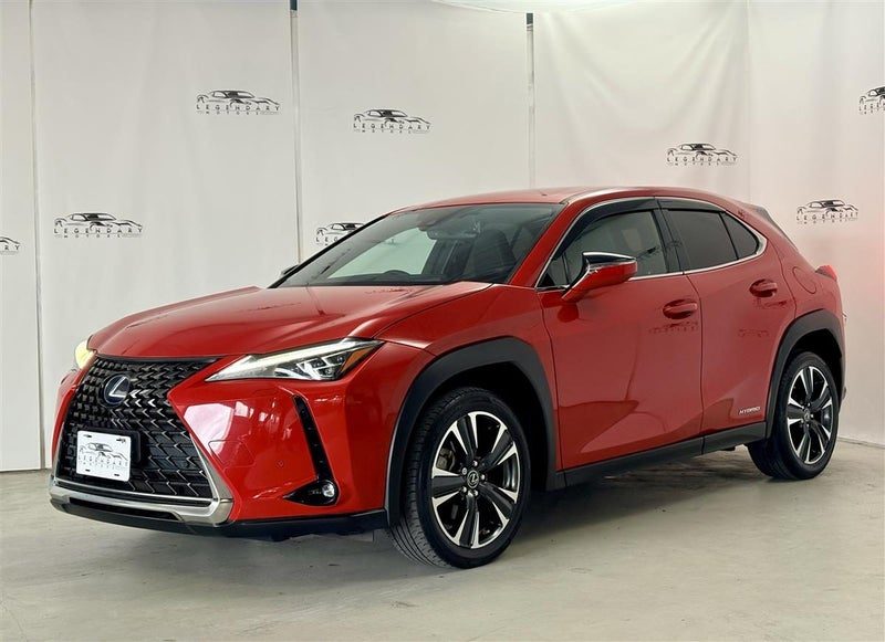 2021 Lexus UX 250H, photo 3