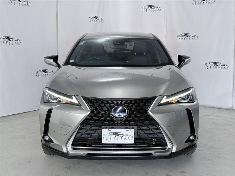 2019 Lexus UX 250H, photo 2