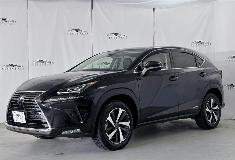 2019 Lexus NX 300h Version L, photo 3
