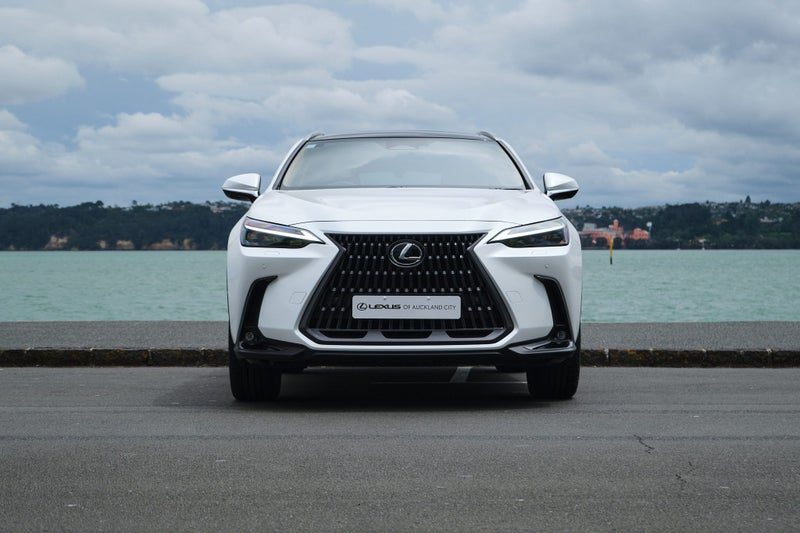 2022 Lexus NX 350h Limited, photo 3