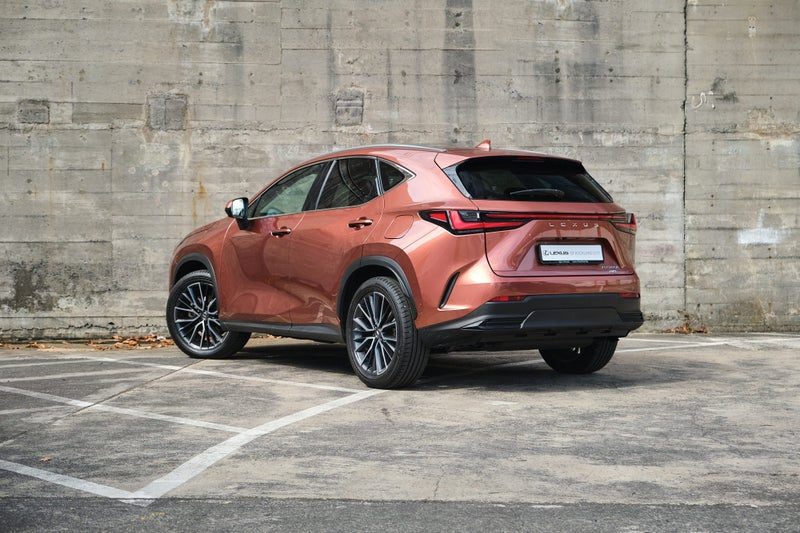 2025 Lexus NX 350h Limited, photo 2