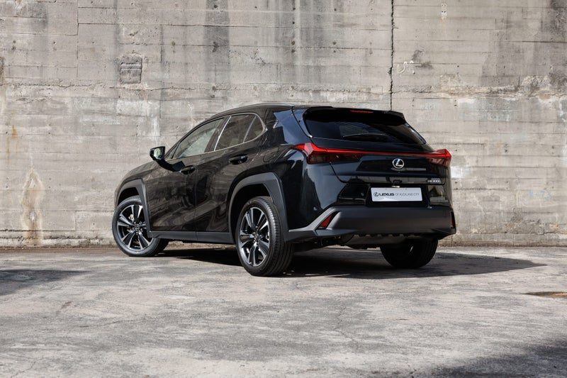 2024 Lexus UX 300h Limited, photo 2