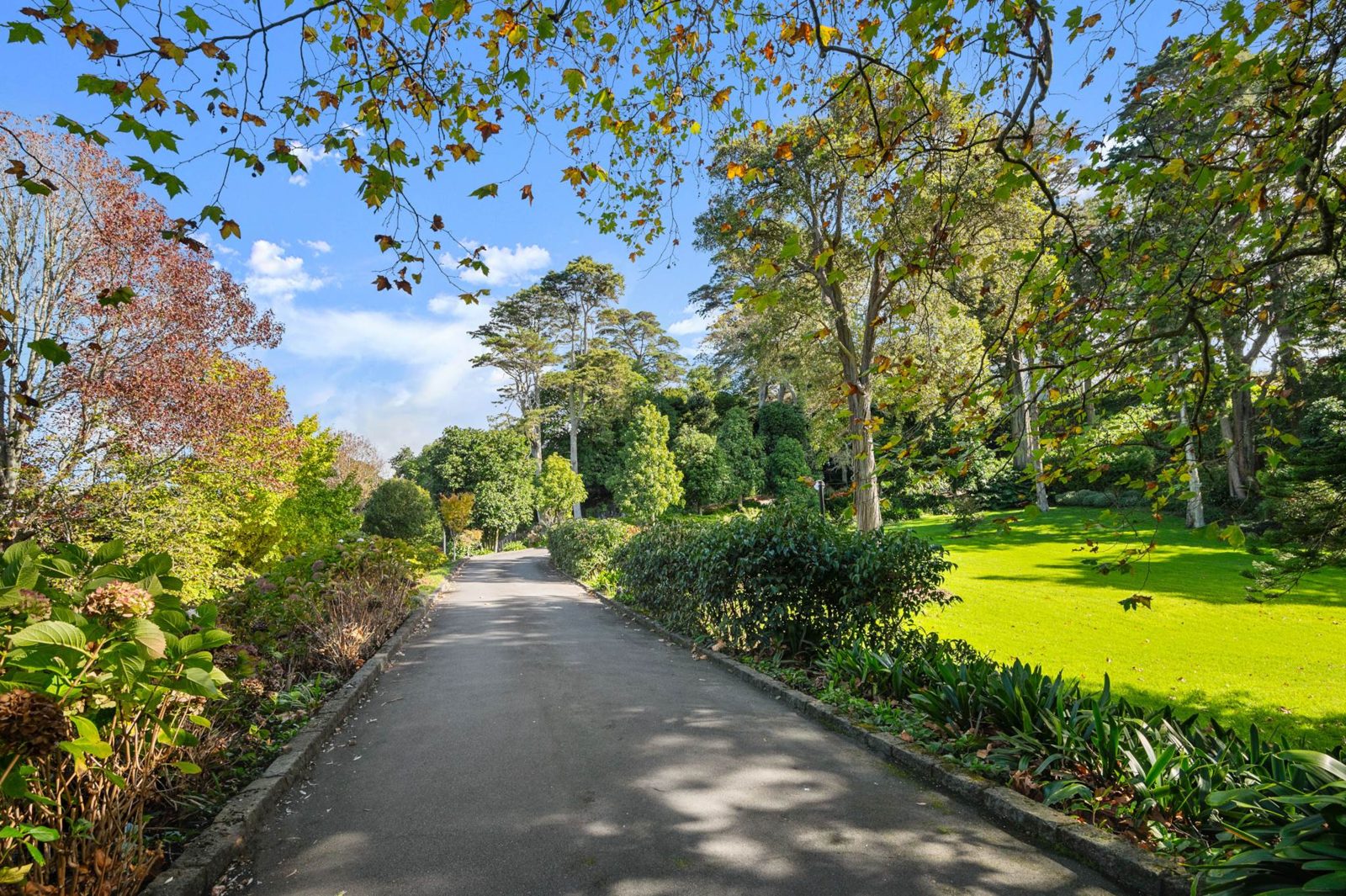 4C/75 Owens Road, Epsom, photo 20