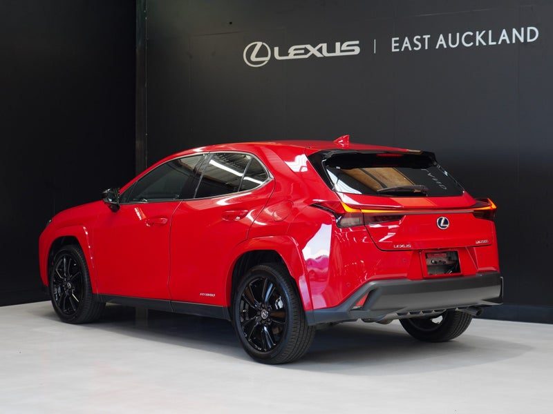 2021 Lexus UX 250H Hybrid, photo 2