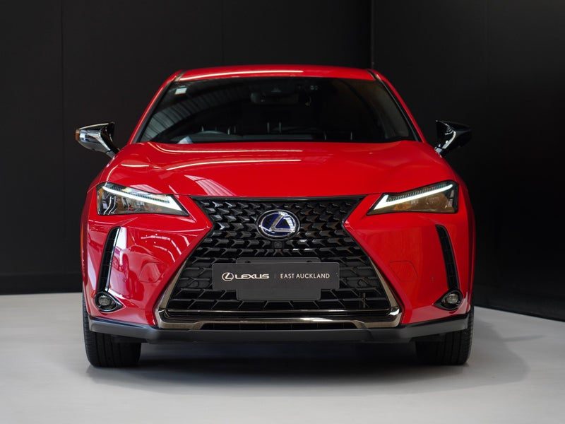 2021 Lexus UX 250H Hybrid, photo 3