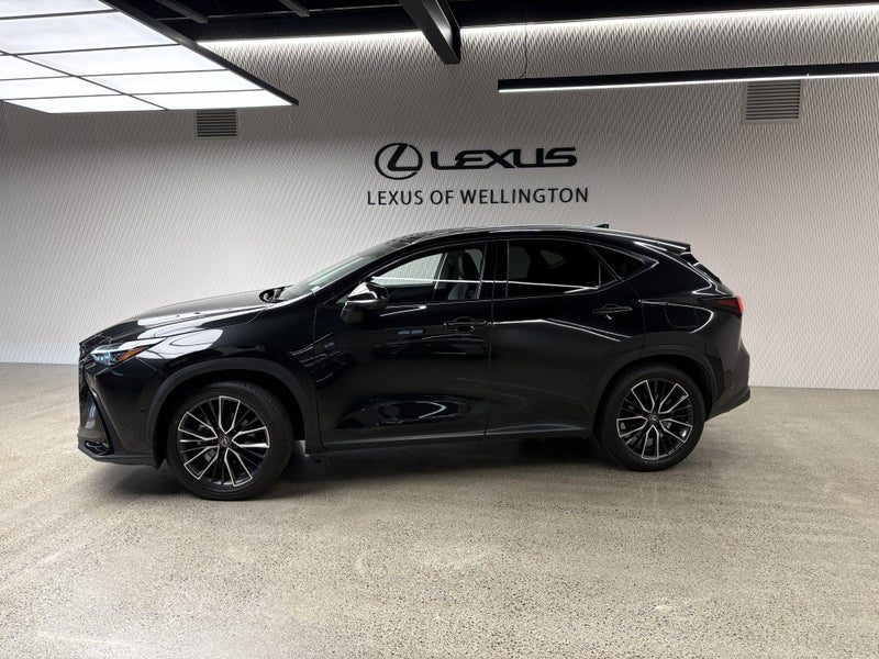 2023 Lexus NX 350h Limited, photo 2
