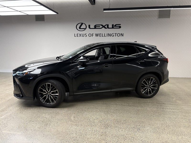 2025 Lexus NX 350h Limited, photo 2