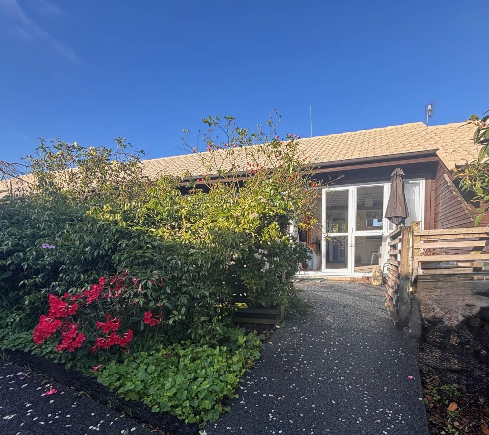 21/15 Puriri Street, Takapuna, photo 8