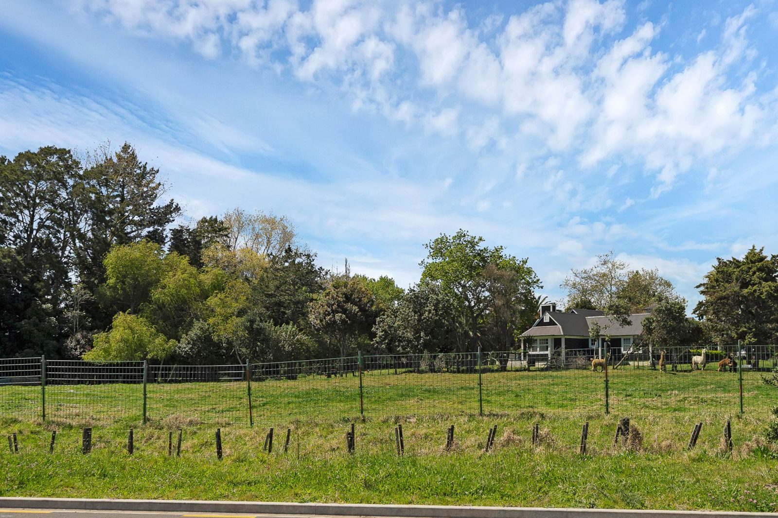 5 Hasted Road, Karaka, photo 6