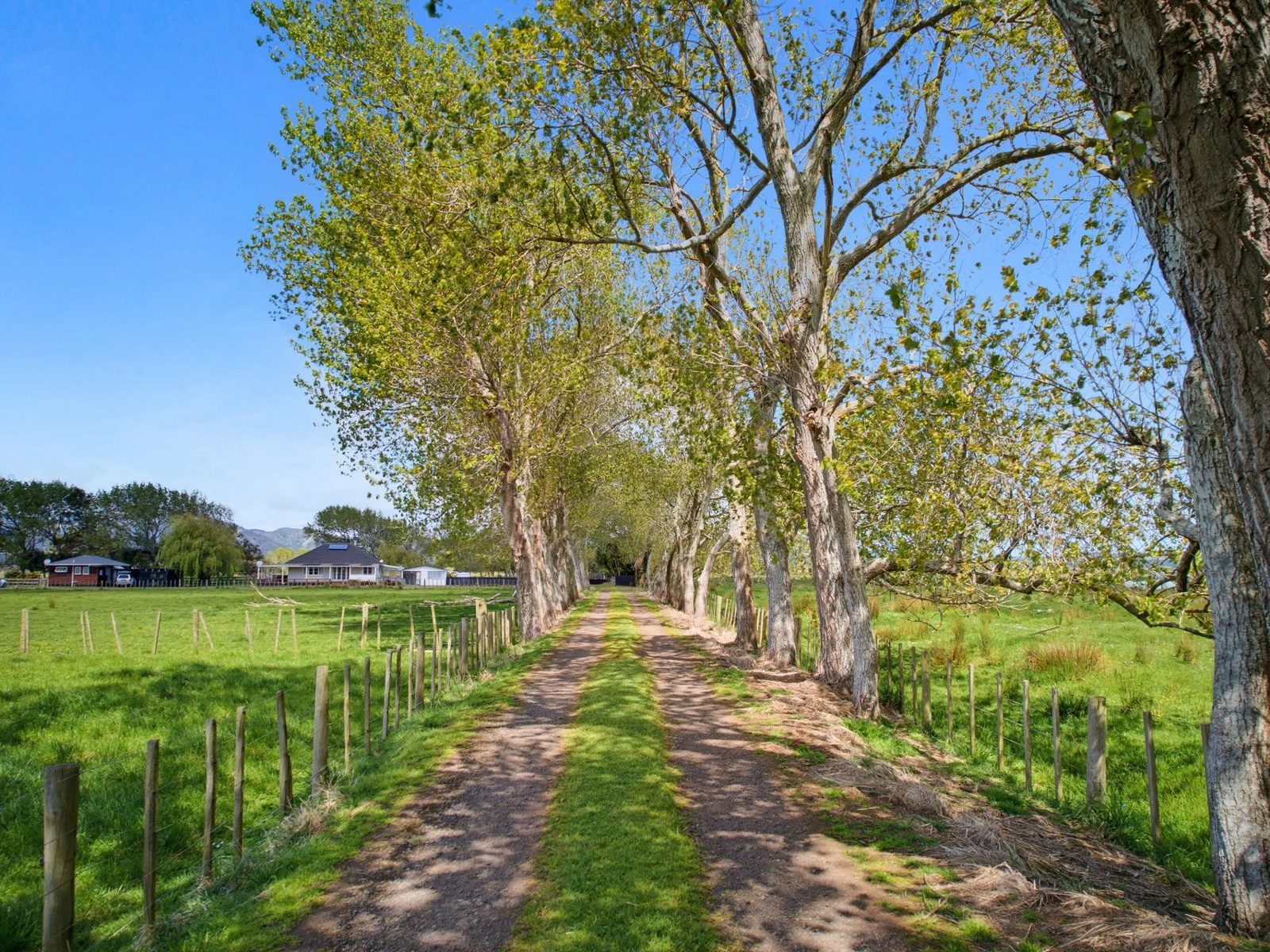 138 Harris Road, Waiuku, photo 5