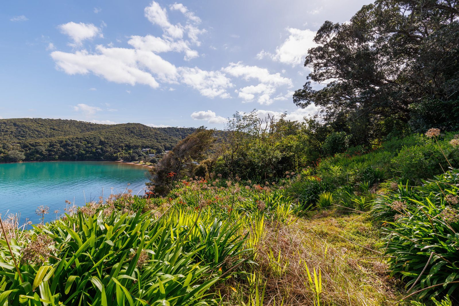 12 Pohutukawa Avenue, Omiha, photo 11